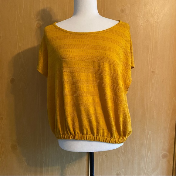Madewell • Mustard Yellow Pointelle Knit Short-Sleeve Crop Top - Picture 3 of 10